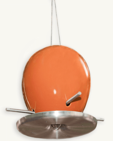 Egg Bird Feeder
