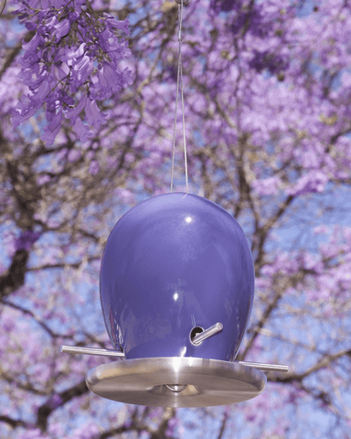 2015 Limited Edition Egg Bird Feeder Jacaranda Purple