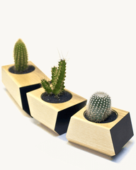 Boxcar Planter Set Ash & Black