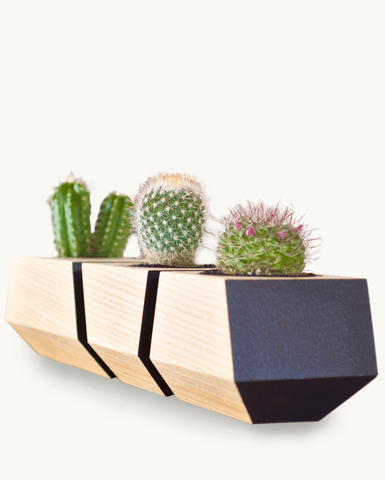 Boxcar Planter Set Ash & Black