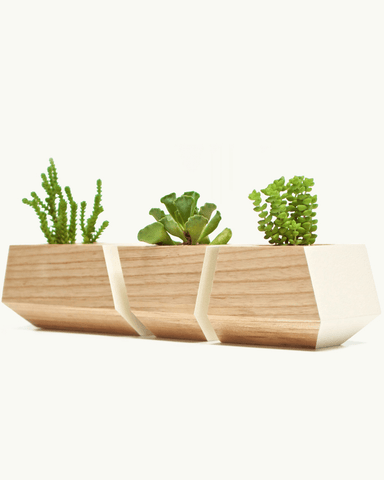 Boxcar Planter Set Ash & Bone White