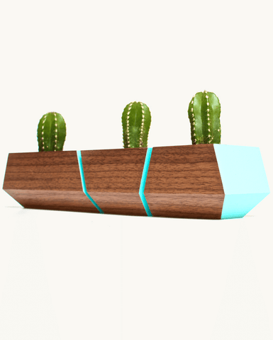 Boxcar Planter Set Walnut & Robin Egg Blue
