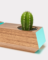 Boxcar Planter Set Walnut & Robin Egg Blue