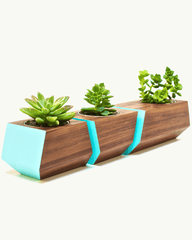 Boxcar Planter Set Walnut & Robin Egg Blue