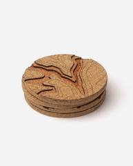 Topo Coaster