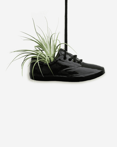 Medium Shoe Pot Black
