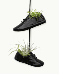 Medium Shoe Pot Black