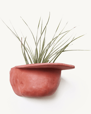 Half Hat Planter