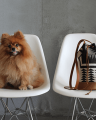 Walking Rock Mini Bucket Bag